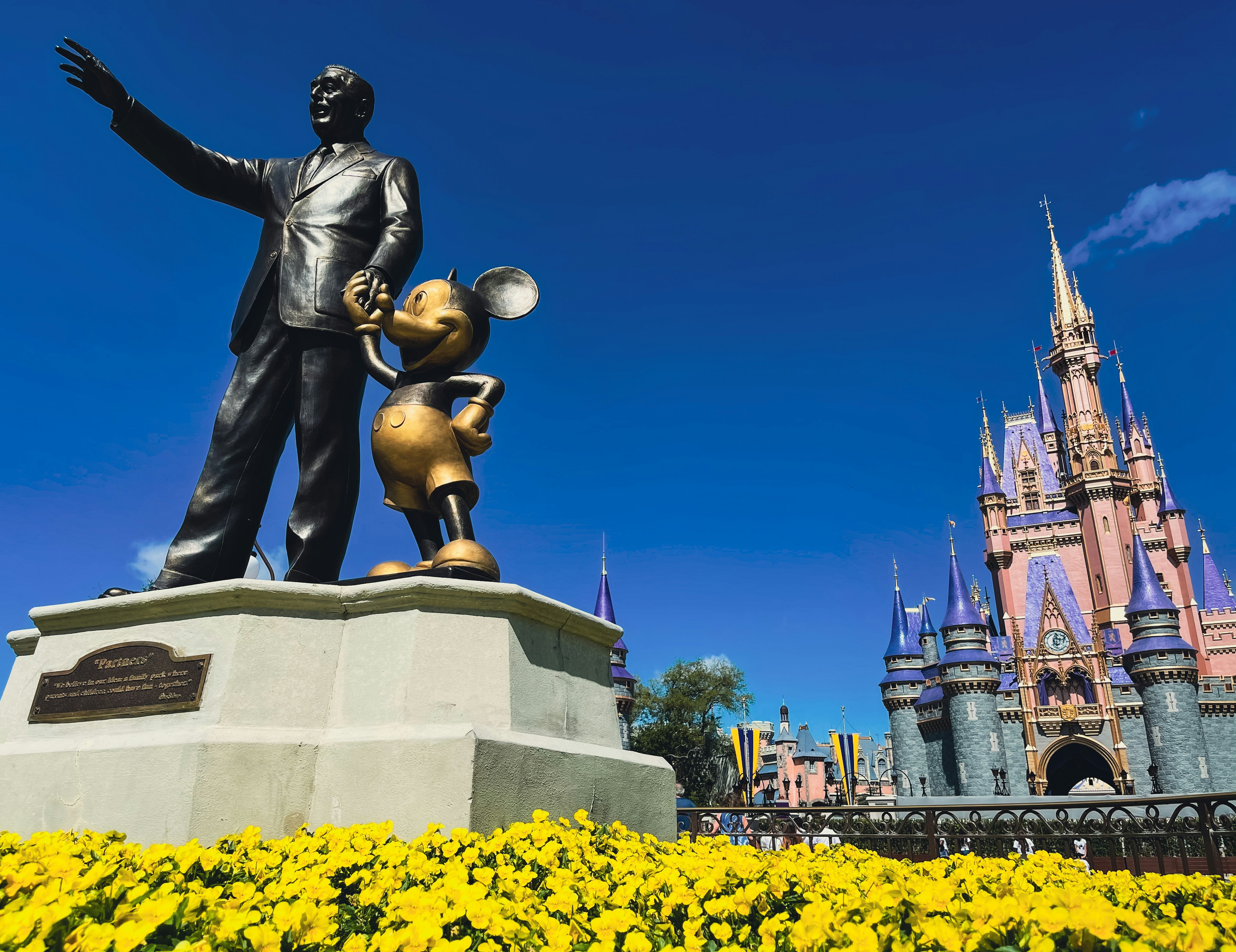 Disney Magic